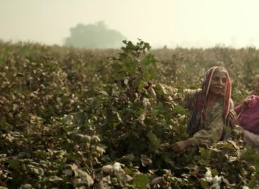 Sarsabz’s Kissan day tribute ad receives more than 4 million views in 2 days