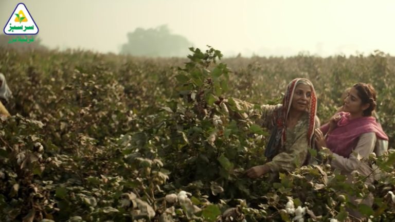 Kisan 1