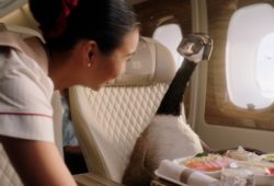 Emirates adds another feather in its cap with Gerry the Goose ‘Fly Better’ campaign