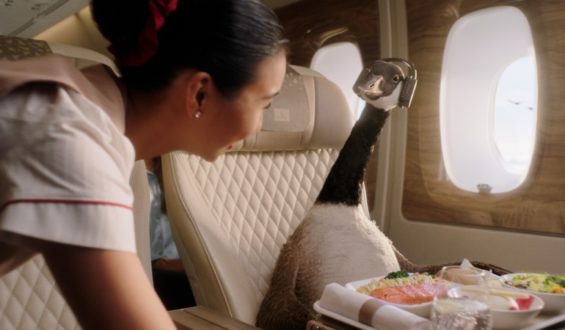 Emirates adds another feather in its cap with Gerry the Goose ‘Fly Better’ campaign