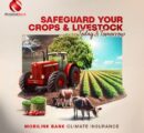 Mobilink Bank introduces climate insurance to protect agri-borrowers from climate risks
