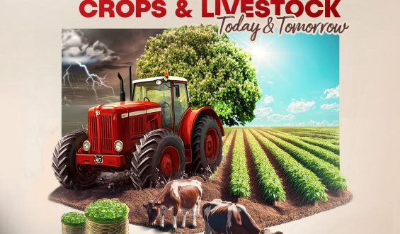 Mobilink Bank introduces climate insurance to protect agri-borrowers from climate risks