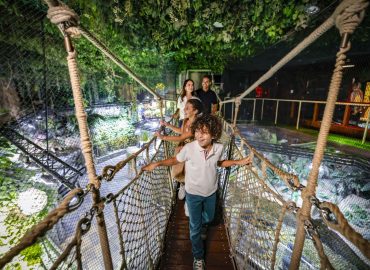 Summer Sorted: Dubai Delivers, Emirates Elevates