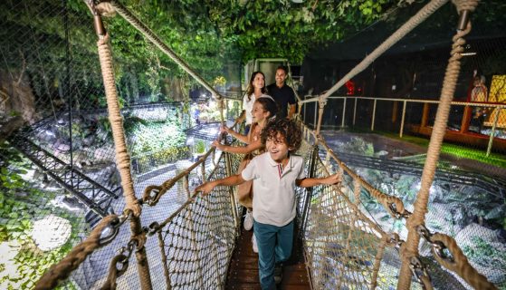 Summer Sorted: Dubai Delivers, Emirates Elevates
